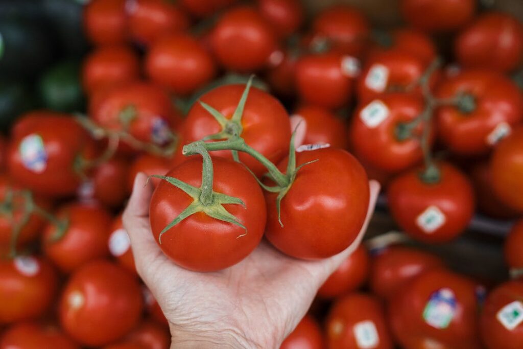 Best Tomato Timer - Definitiveinfo